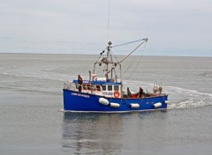  Bateaux L'ANSE AU BASQUES