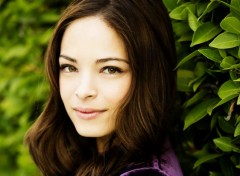  Celebrities Women Kristin Kreuk