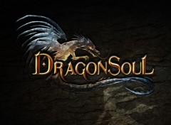  Jeux Vido Dragon Soul