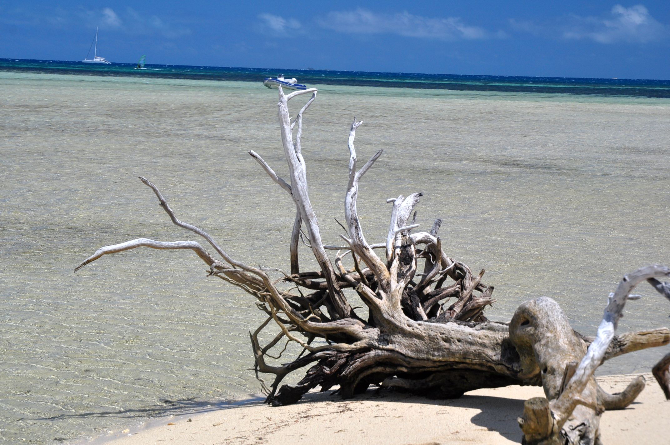 Fonds d'cran Nature Mers - Ocans - Plages petit coin de paradis