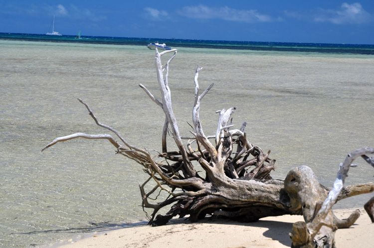 Fonds d'cran Nature Mers - Ocans - Plages petit coin de paradis