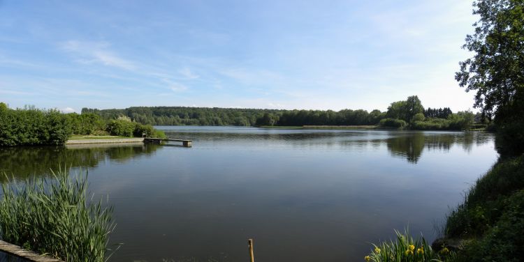 Wallpapers Nature Lakes - Ponds Panorama du lac de bambois belgique 