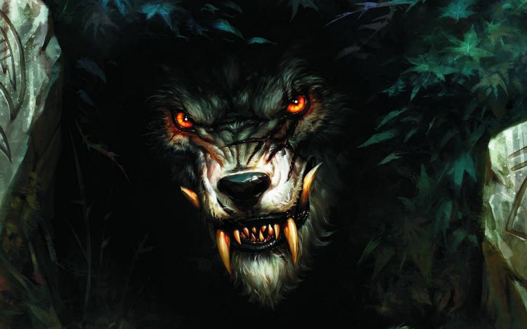 Wallpapers Fantasy and Science Fiction Creatures : Werewolves Wallpaper N335596