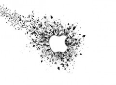  Informatique Fond Apple