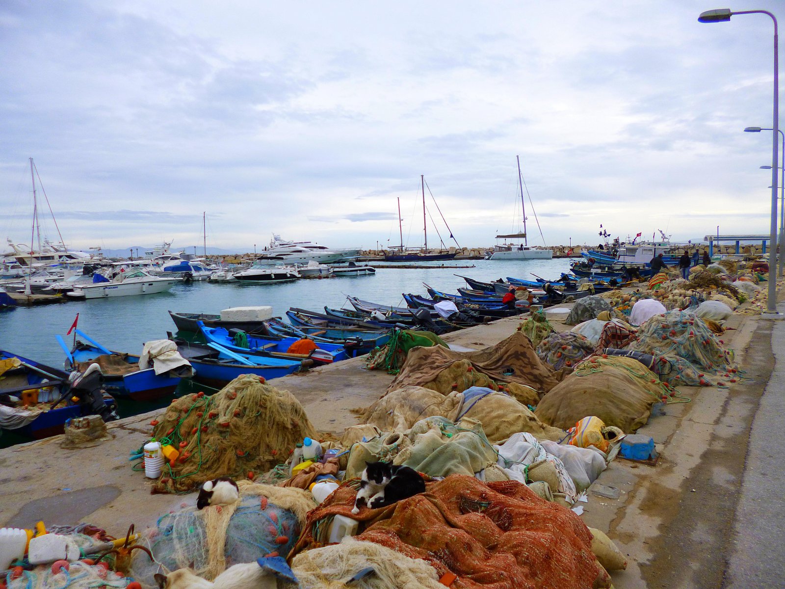 Wallpapers Trips : Africa Tunisia la goulette , carthage et sidi bou saïd