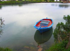  Voyages : Afrique la goulette , carthage et sidi bou saïd