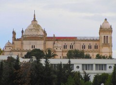  Voyages : Afrique la goulette , carthage et sidi bou saïd