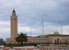  Voyages : Afrique la goulette , carthage et sidi bou saïd