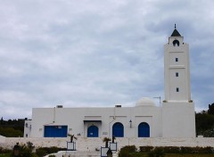  Voyages : Afrique la goulette , carthage et sidi bou saïd