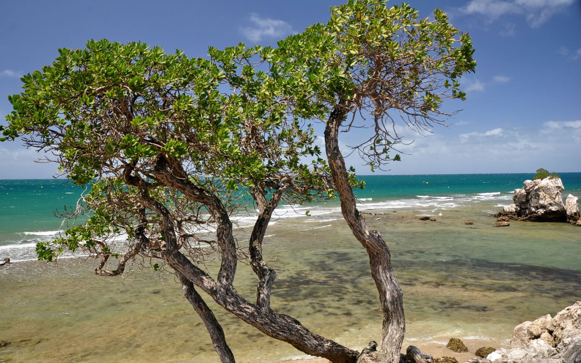 Fonds d'cran Nature Mers - Ocans - Plages 