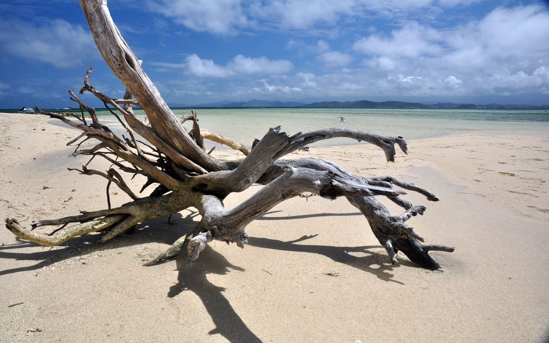 Fonds d'cran Nature Mers - Ocans - Plages 