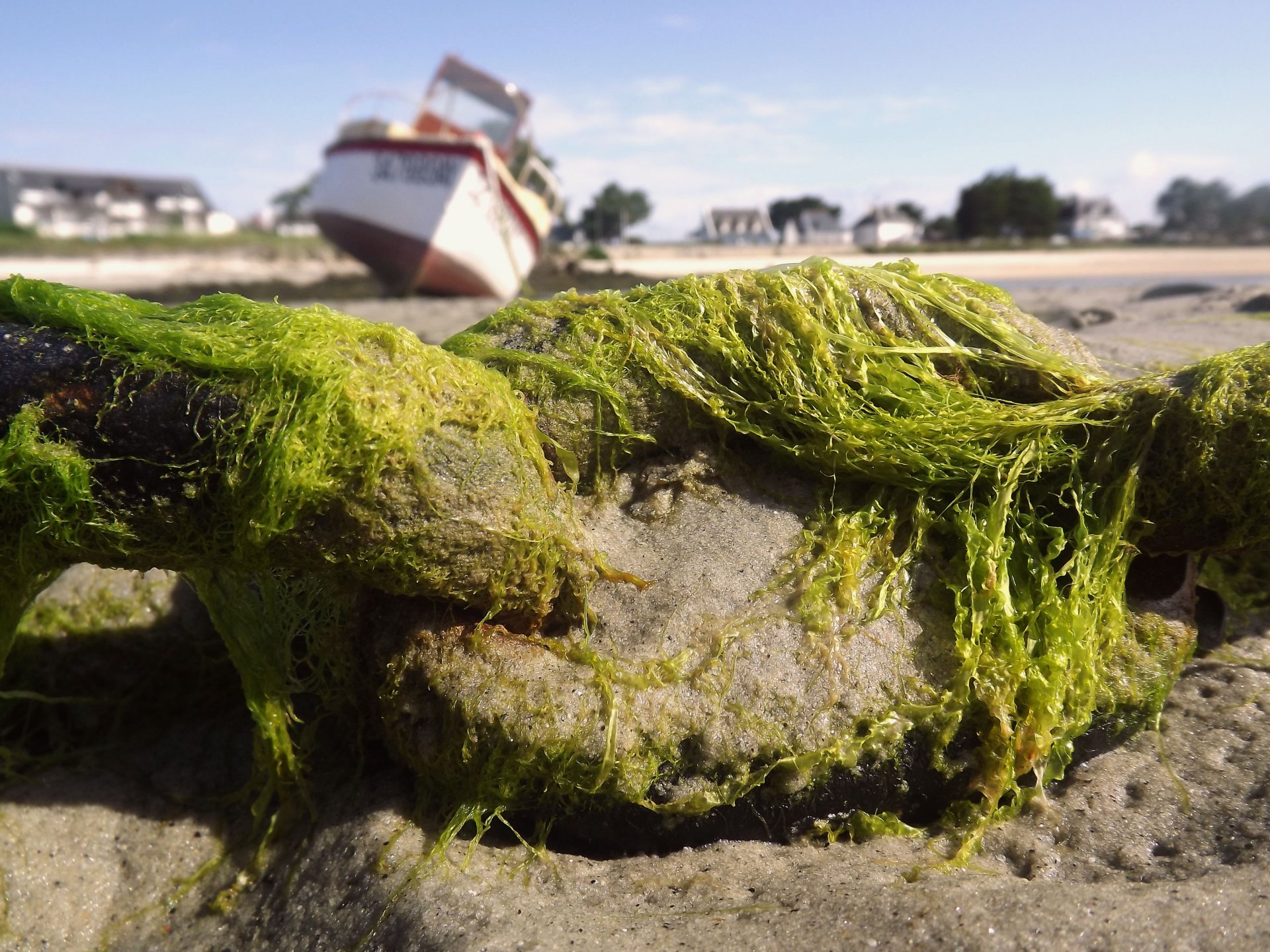 Fonds d'cran Nature Mers - Ocans - Plages 