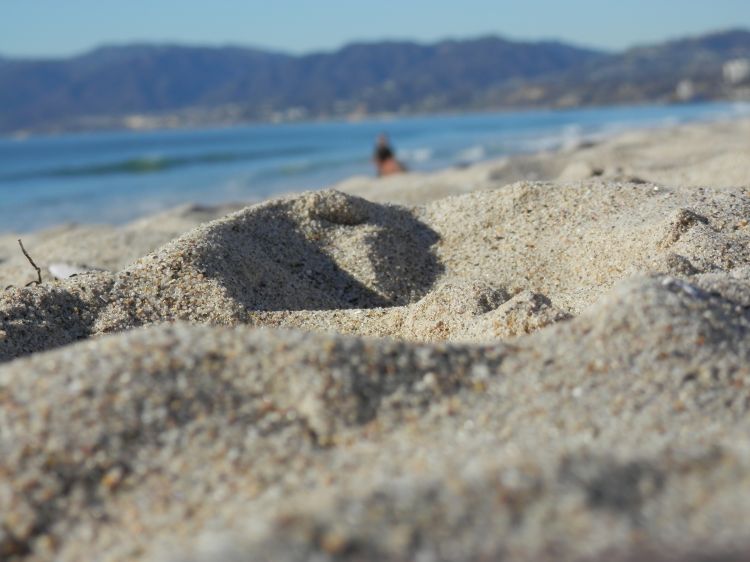 Fonds d'cran Nature Mers - Ocans - Plages On the beach