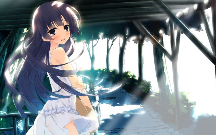 Wallpapers Manga Ore No Imouto Ga Konna Ni Kawaii Wake Ga Nai Wallpaper N336566