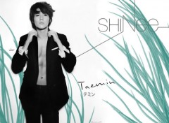  Music SHINee - TaeMin