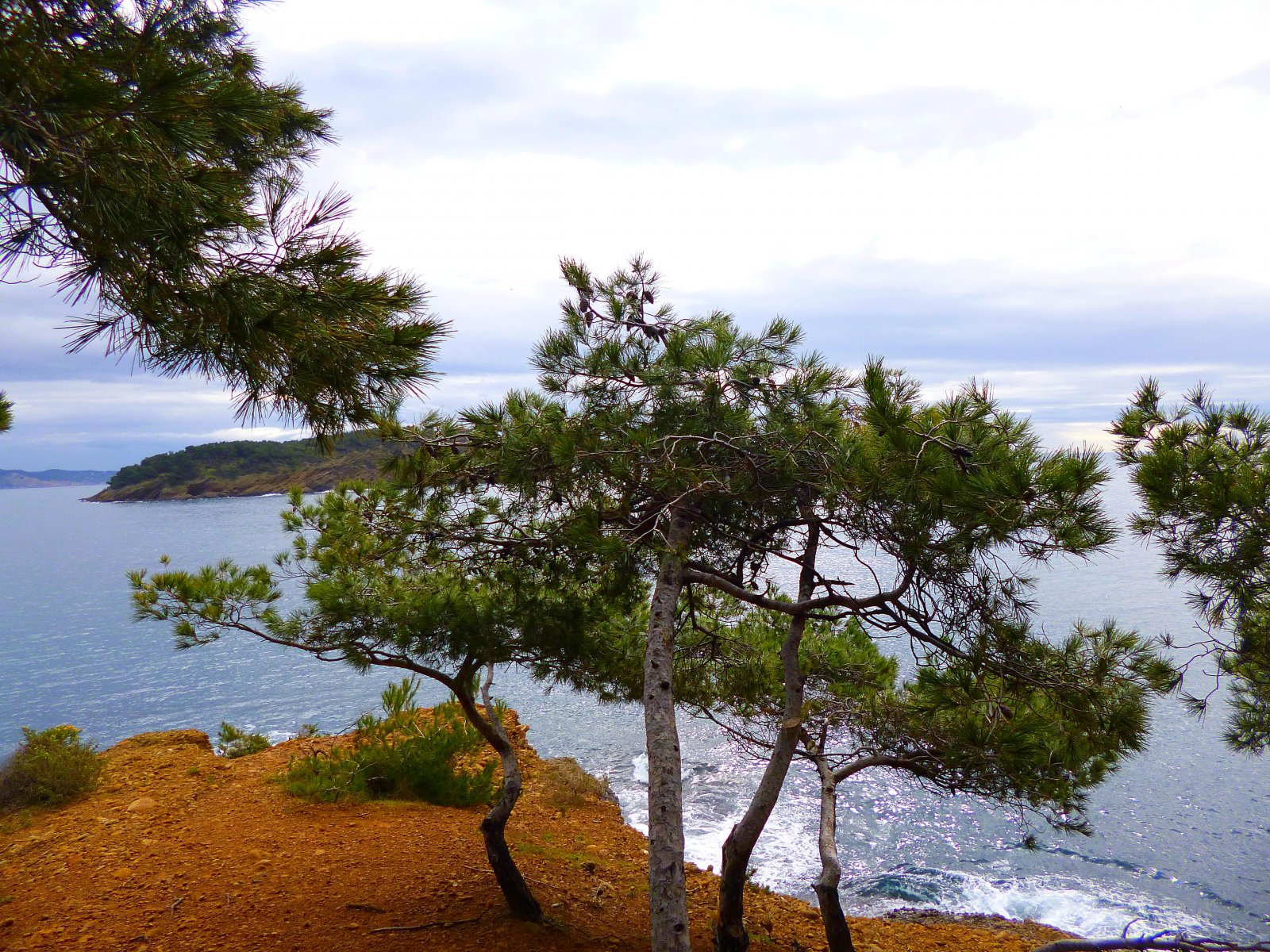 Fonds d'cran Voyages : Europe France > Provence-Alpes-Cte d'Azur le parc du Mugel à la ciotat