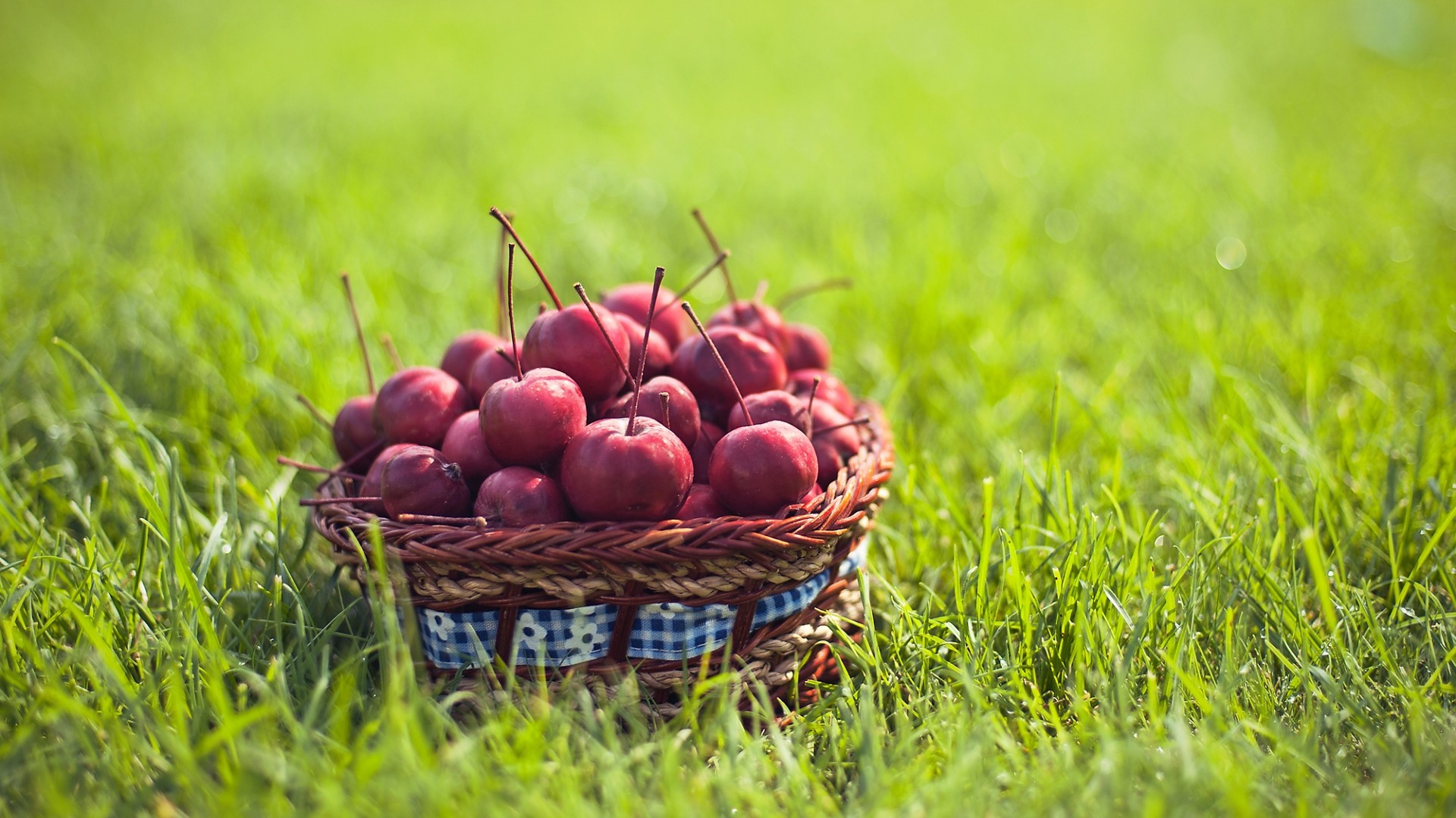 Wallpapers Nature Fruits 