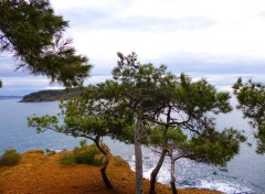  Voyages : Europe le parc du Mugel à la ciotat