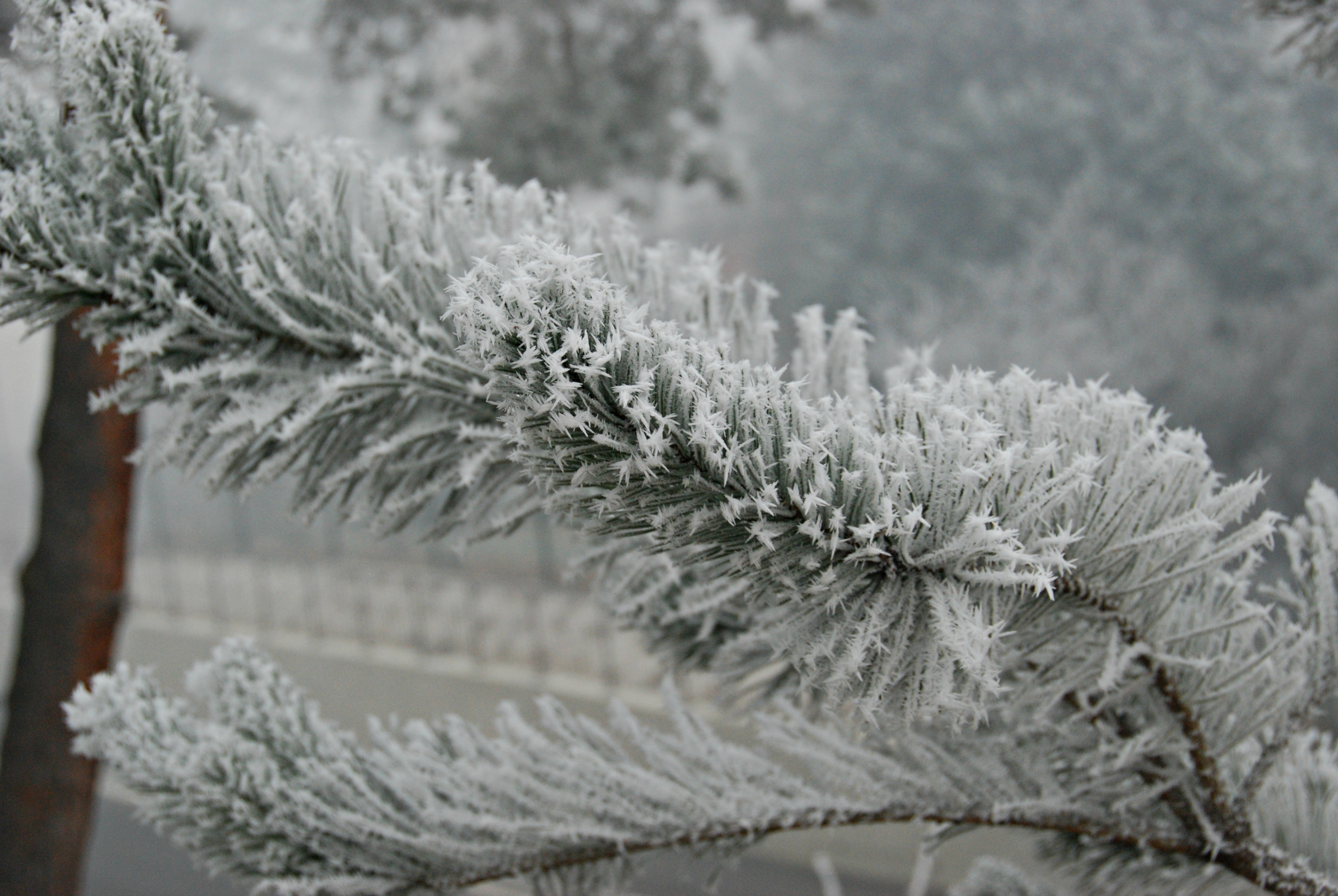 Fonds d'cran Nature Saisons - Hiver 