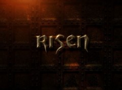  Jeux Vido Risen