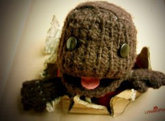  Jeux Vido Little Big Planet