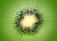  Nature Kiwi