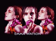  Celebrities Women Emma Watson