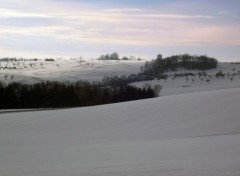  Nature Le Bayonnais en hivers