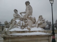  Nature Le Jardin des Tuileries