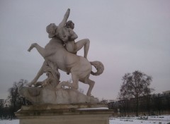  Nature Le Jardin des Tuileries