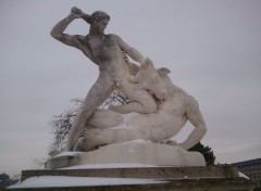  Nature Le Jardin des Tuileries