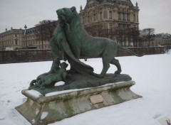  Nature Le Jardin des Tuileries