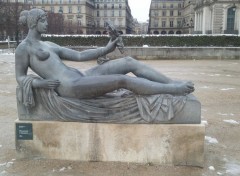  Nature Le Jardin des Tuileries