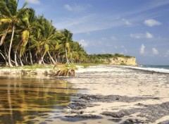  Nature Martinique le Vauclin plage du grand Macabou