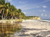  Nature Martinique le Vauclin plage du grand Macabou