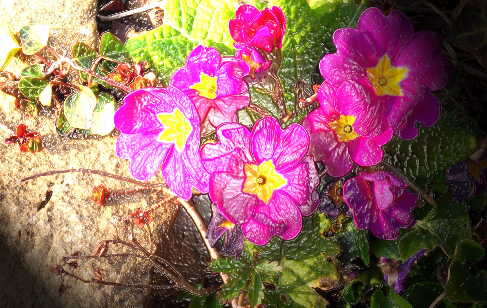 Fonds d'cran Nature Fleurs 