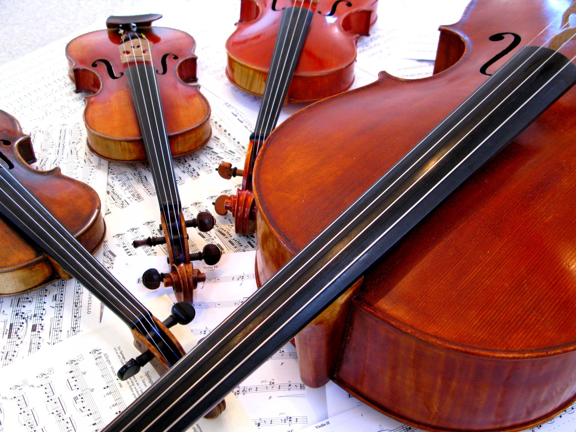 Wallpapers Music Instruments - Violins 