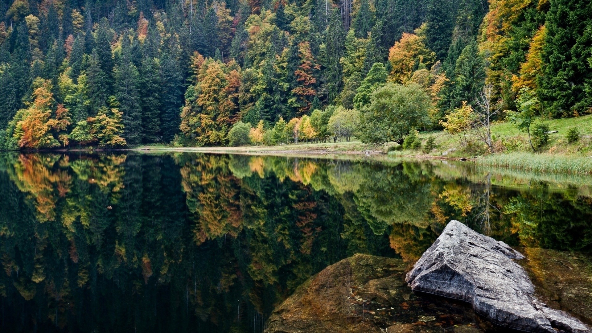 Fonds d'cran Nature Lacs - Etangs 