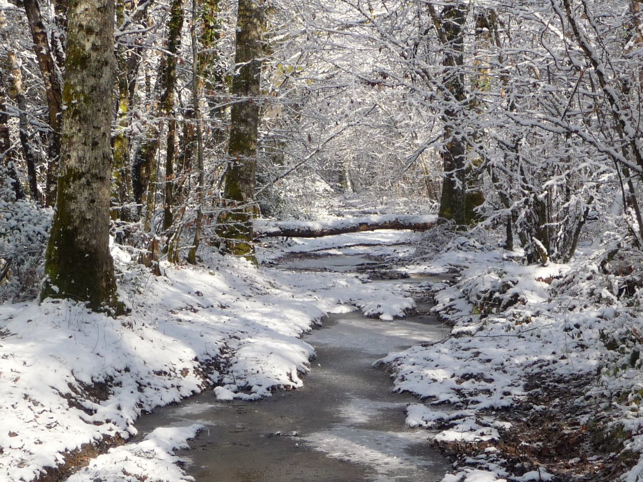 Wallpapers Nature Saisons - Winter Ballade