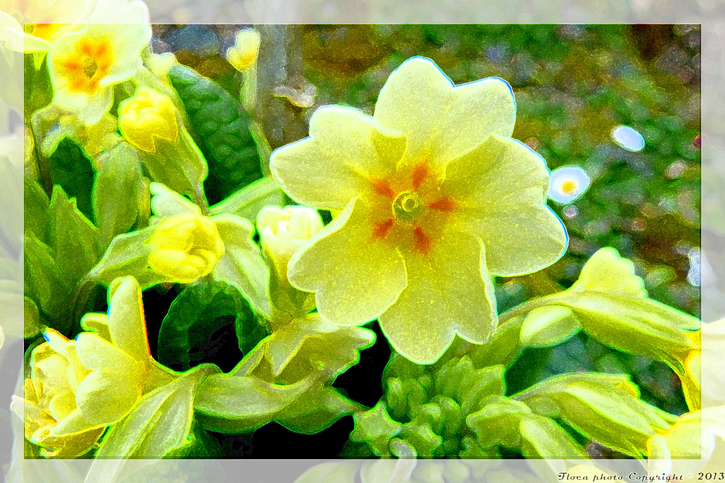 Fonds d'cran Nature Fleurs 