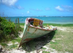  Boats yole abandon