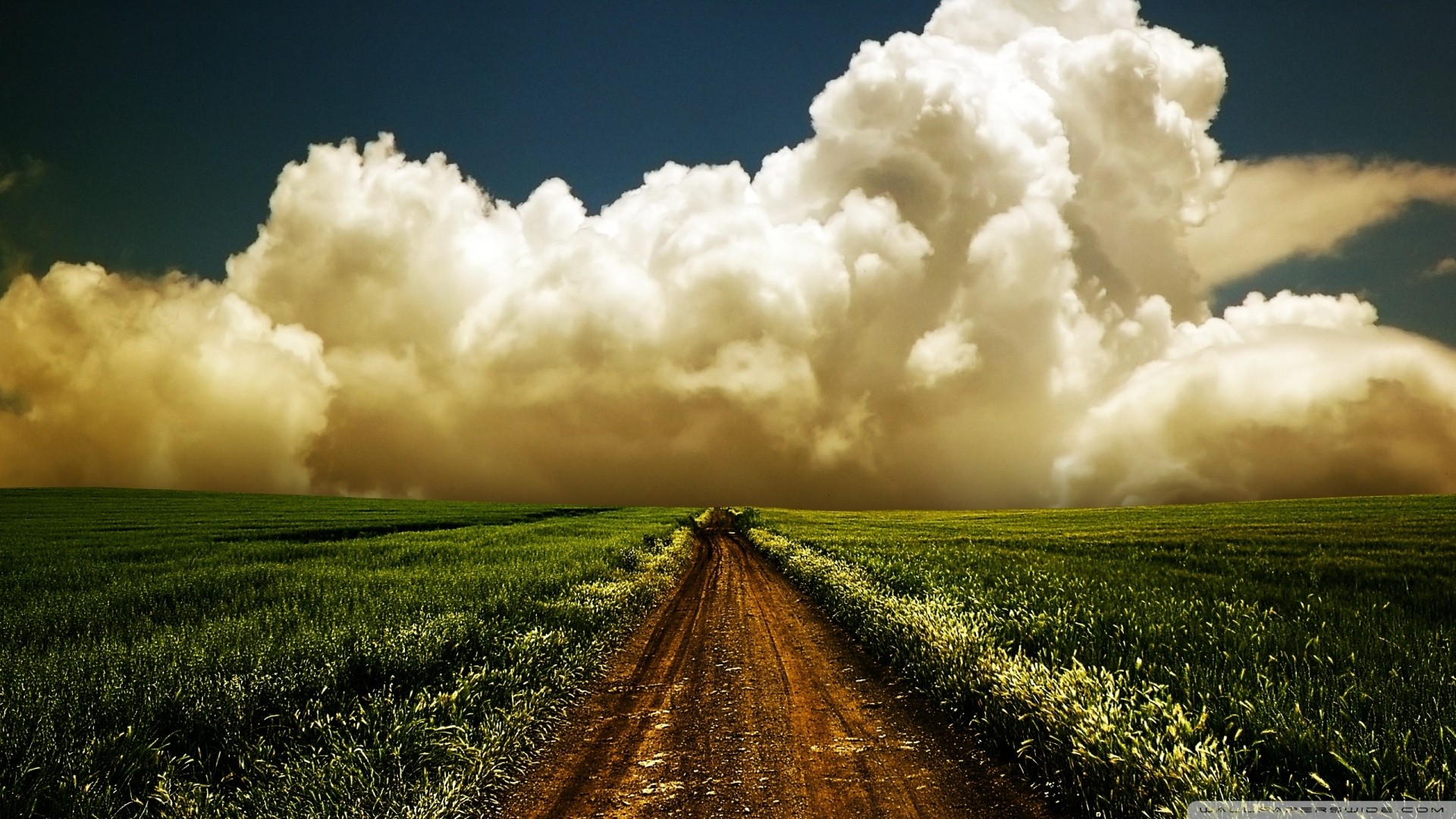 Fonds d'cran Nature Champs - Prairies 