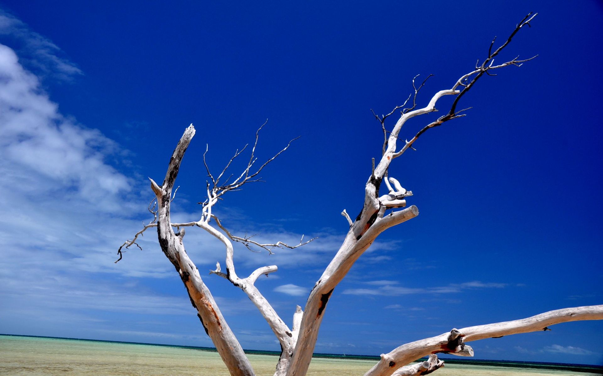 Fonds d'cran Nature Mers - Ocans - Plages 