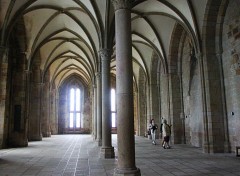  Trips : Europ le mont saint michel