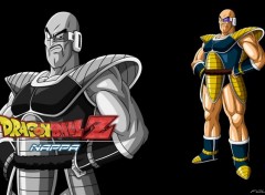  Manga Fond d'écran Dragon ball z Nappa