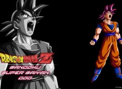  Manga Fond d'écran Dragon ball z Sangoku super saiyan god