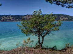  Trips : Europ Lac de Sainte-Croix (Alpes de Haute Provence, Var)