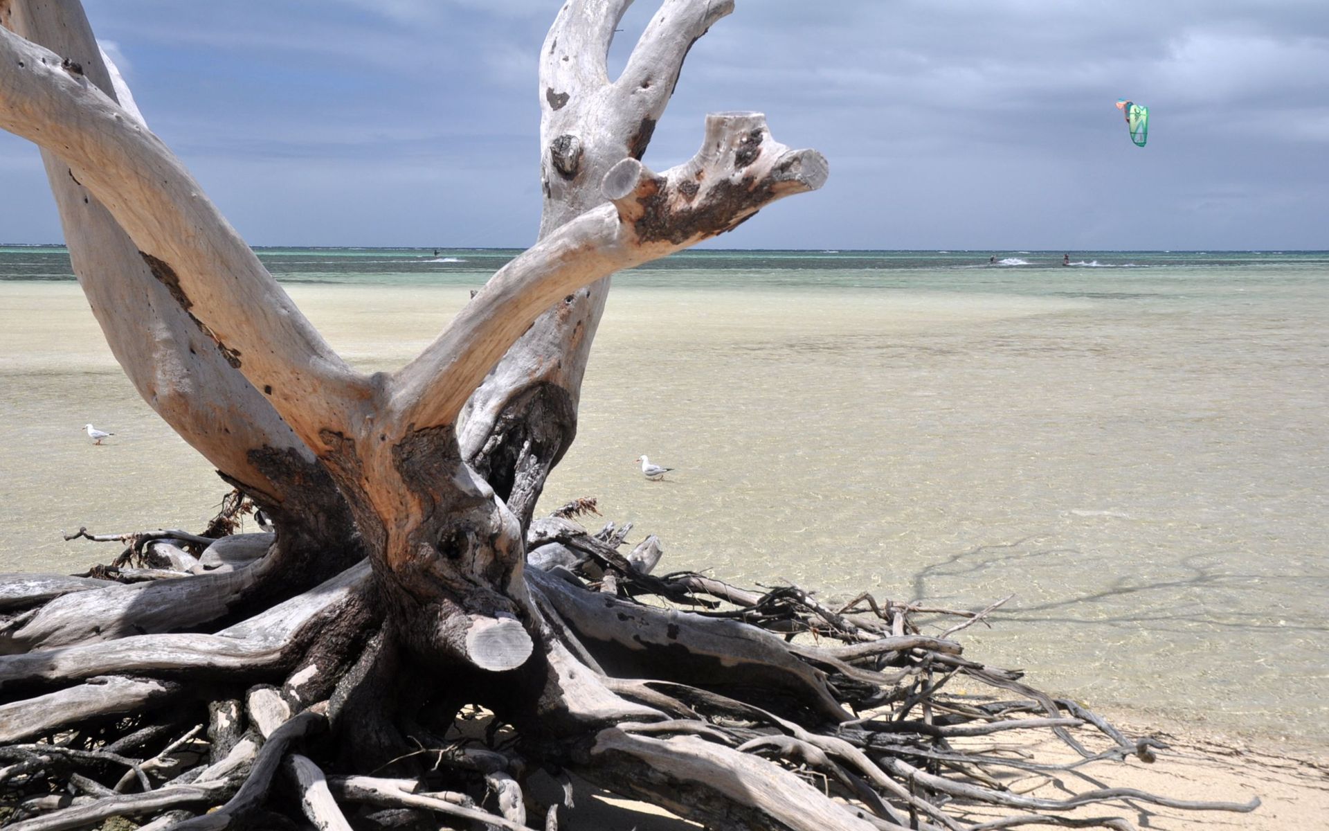 Fonds d'cran Nature Iles Paradisiaques 