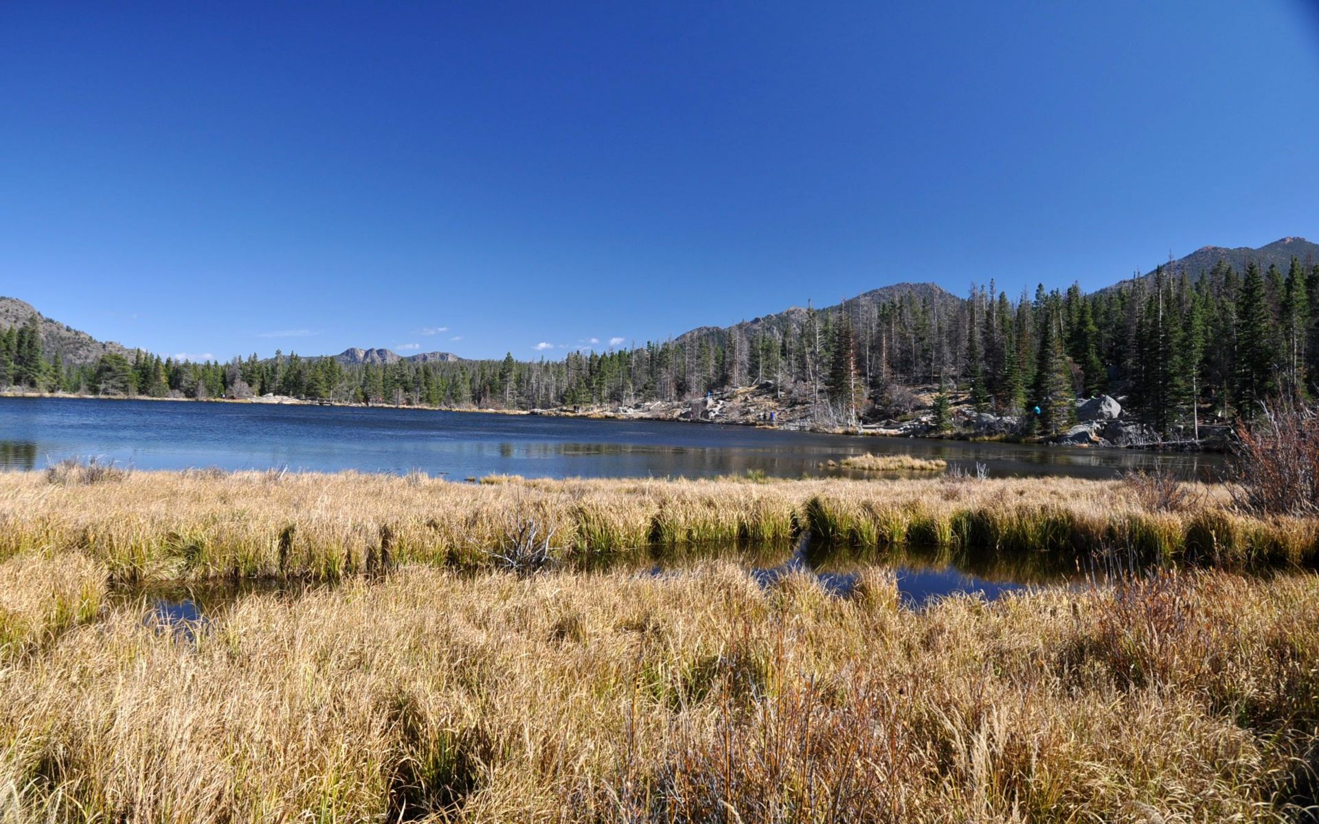 Fonds d'cran Nature Lacs - Etangs 