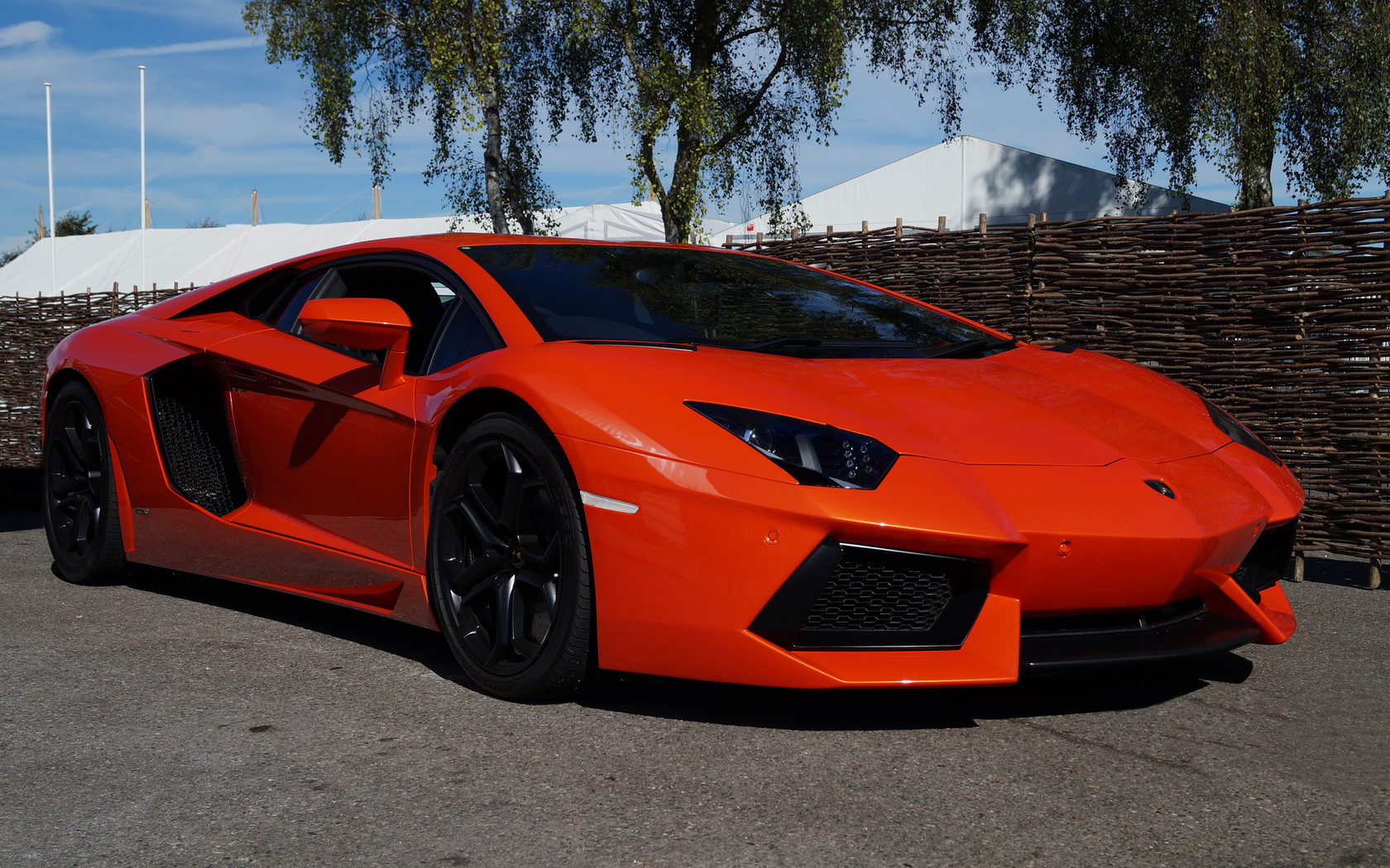 Wallpapers Cars Lamborghini 